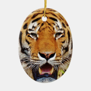 Décoration En Céramique Tigre
