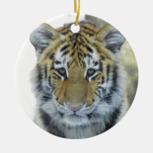 Décoration En Céramique Tigre CUB dans la fin de neige vers le haut du