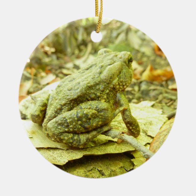 Décoration En Céramique Toad de forêt (Devant)