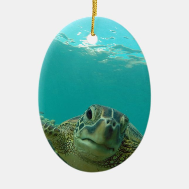 Décoration En Céramique Tortue de mer verte (Devant)