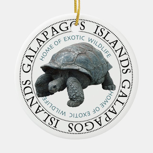 Décoration En Céramique Tortue Des Îles Galapagos (Devant)