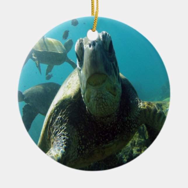 Décoration En Céramique Tortue verte d'Hawaii (Devant)