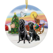 Traiter pour deux Labradors noirs