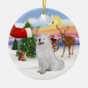 Décoration En Céramique Traiter pour un Samoyed (#1)