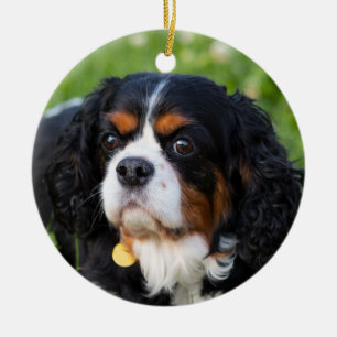Décoration En Céramique Tri Color Cavalier King Charles Spaniel