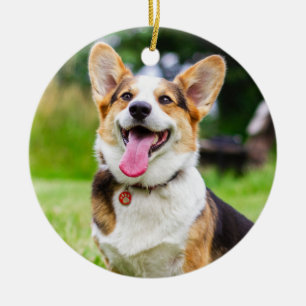 Décoration En Céramique Tri Couleur Pembroke Welsh Corgi Chien Chien Chien