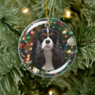 Décoration En Céramique Tricolore Cavalier le roi Charles Spaniel