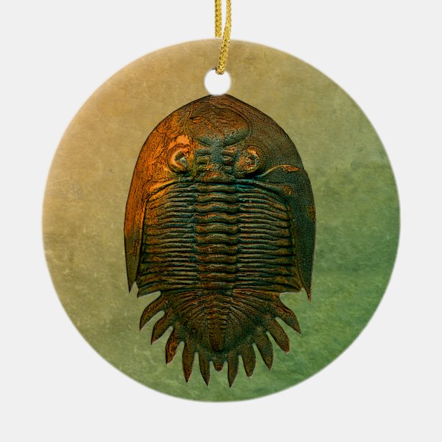 Décoration En Céramique Trilobite Fossil Neometacanthus (Devant)