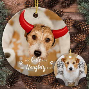 Décoration En Céramique Trop mignon pour la liste coquine Funny chien anim