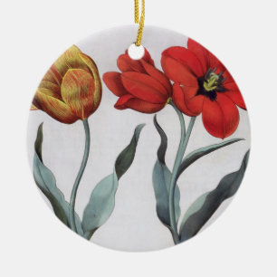 Décoration En Céramique Tulipes : colore de cinnabrio de serotina du