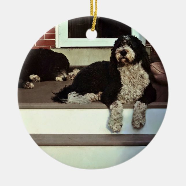 Décoration En Céramique Two Sheepadoodles (Devant)