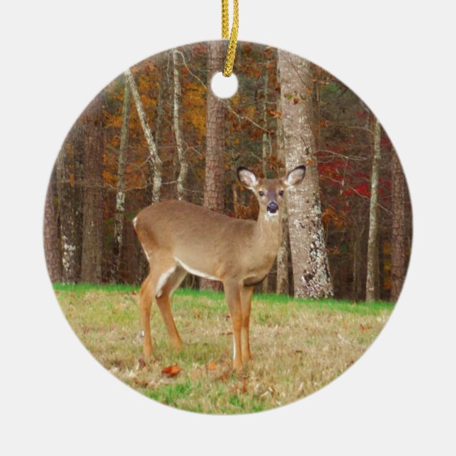 Décoration En Céramique Un cerf de rêve de chasseur (Devant)