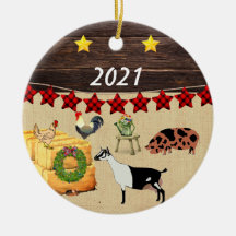 Un pays Noël KuneKune & chèvre