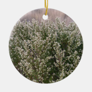 Décoration En Céramique Une Californie florissante : Coyote Bush