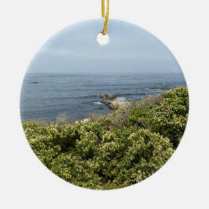 Décoration En Céramique Une Californie florissante : Coyote Bush