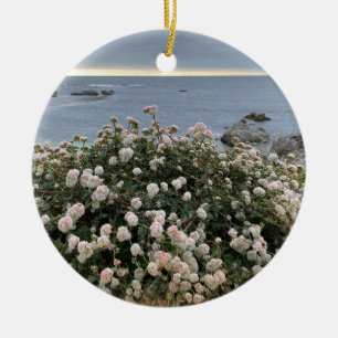 Décoration En Céramique Une Californie florissante : le sarrasin Sea Cliff
