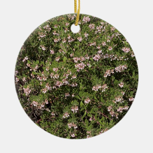 Décoration En Céramique Une Californie florissante : Manzanita (Devant)