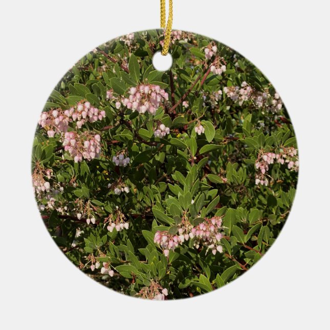 Décoration En Céramique Une Californie florissante : Manzanita (Devant)