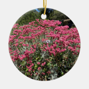 Décoration En Céramique Une Californie florissante : Sarrasin à fleurs ro