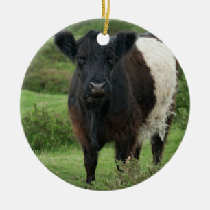 Décoration En Céramique Vache galloway à ceinture