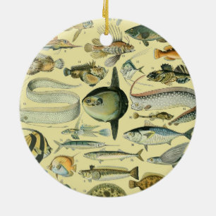 Décoration En Céramique Vintage Fish Scientific Fishing Art
