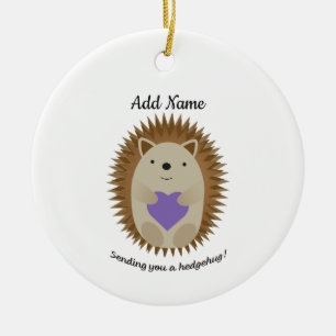 Décoration En Céramique Vous envoyer un hérisson de Hedgehug