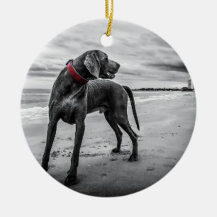 Décoration En Céramique Weimaraner sur la photo de la plage B&W avec le