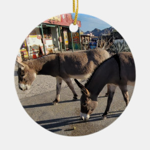 Décoration En Céramique Wild Burros à Oatman, Arizona
