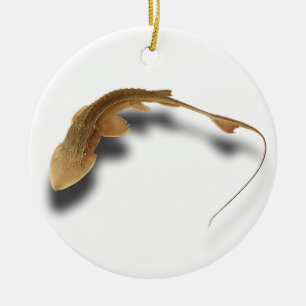 DÉCORATION EN CÉRAMIQUE >XMAS ORNAMENT -STURGEON FISH -REAL SHOVELNOSE