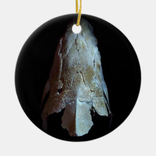 DÉCORATION EN CÉRAMIQUE >XMAS ORNAMENT -STURGEON FISH -SKULT/HEAD