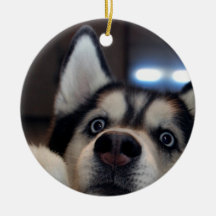 Y A-T-Il Quelqu'Un Là-Bas ?