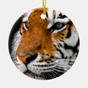Décoration En Céramique Yeux de tigre
