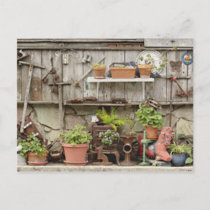 Decorations on wooden fence, Catalina Island, Postcard