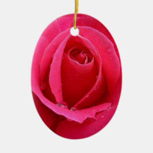 Décorations Roses romantiques de l'ornement Rose r