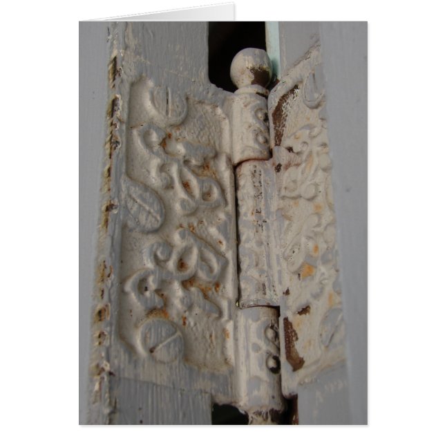 Decorative and Functional Door Hinge (Front)