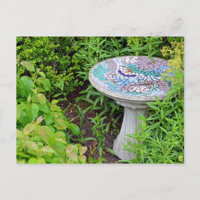 Decorative birdbath print postcard (Front)