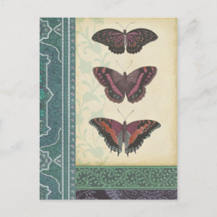 Decorative Butterfly Brocade by Vision Studio Postcard