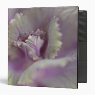 Decorative cabbage binder