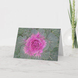 Decorative Cabbage, Brassica Oleracea-Folded Card