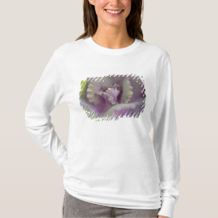 Decorative cabbage T-Shirt