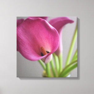 Decorative Canvas Print – Contemporary Wall Art