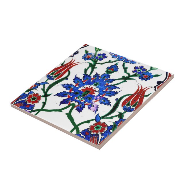 Decorative Ceramic Kitchen Backsplash Wall Tiles (Side)