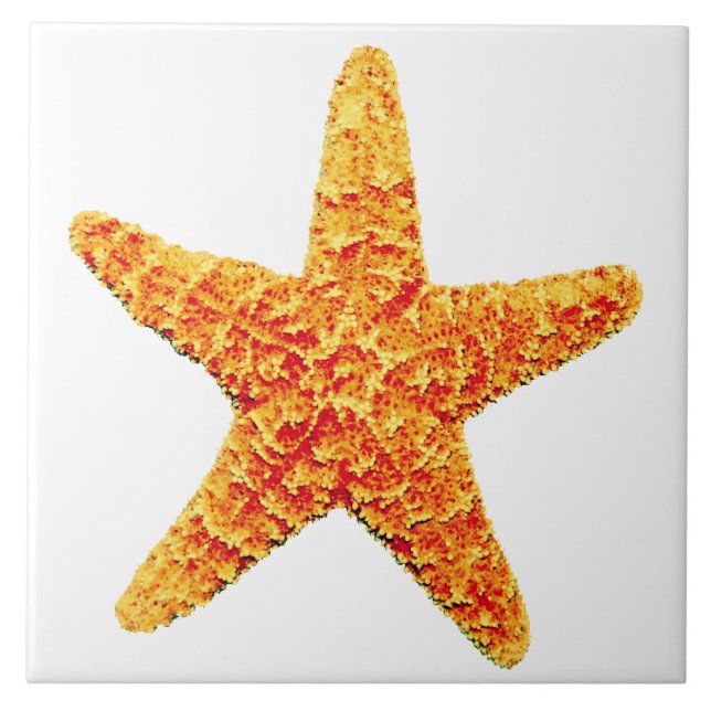 Decorative Ceramic Starfish Tile (Front)