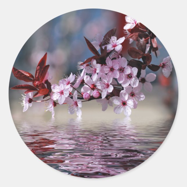 Decorative cherry tree blossoms classic round sticker (Front)