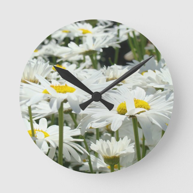 Decorative Clocks Summer White Daisy Flowers (Front)