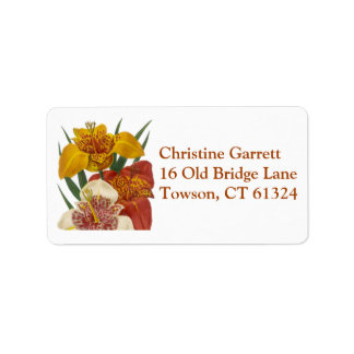 Decorative colourful flower daylily label