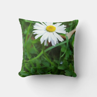 Decorative cushion, daisy, flower throw pillow
