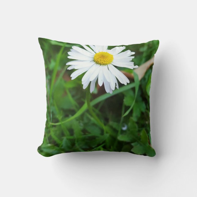 Decorative cushion, daisy, flower throw pillow (Front)