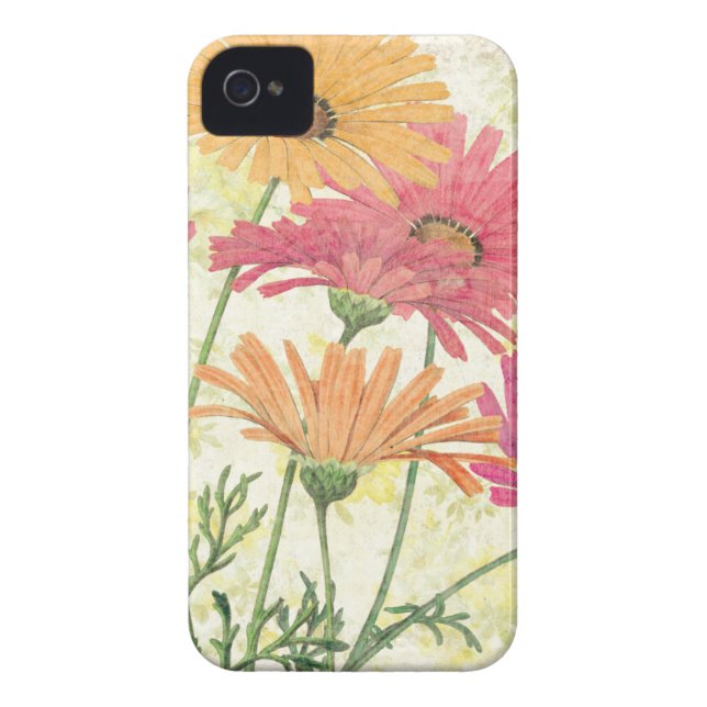 Decorative Daisies Case-Mate iPhone Case (Back)