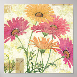 Decorative Daisies Poster